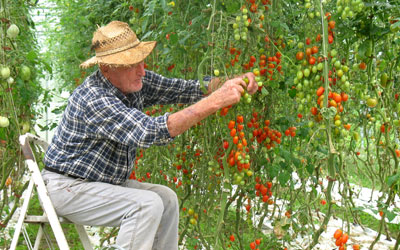 Biotomaten Rosenheim